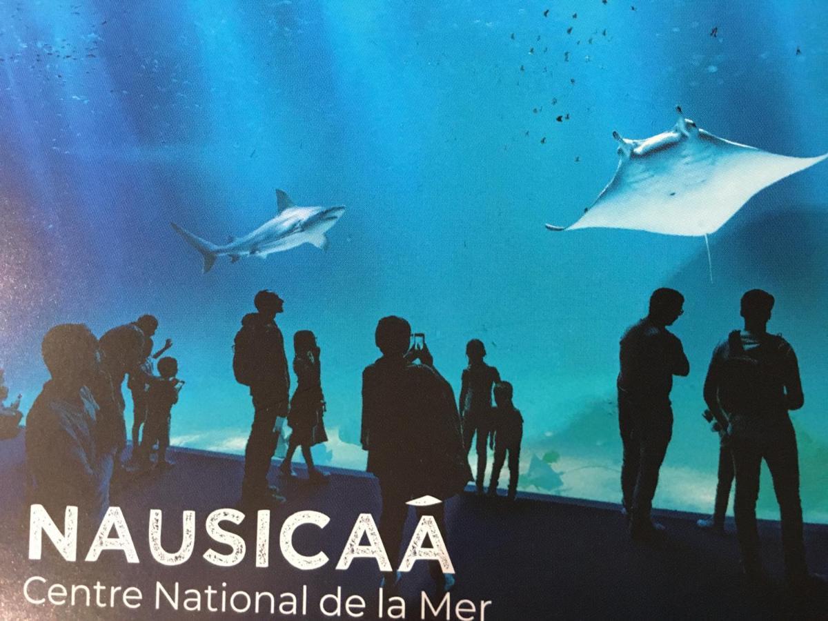 Studio  escale en bord de mer Wimereux Eksteriør bilde