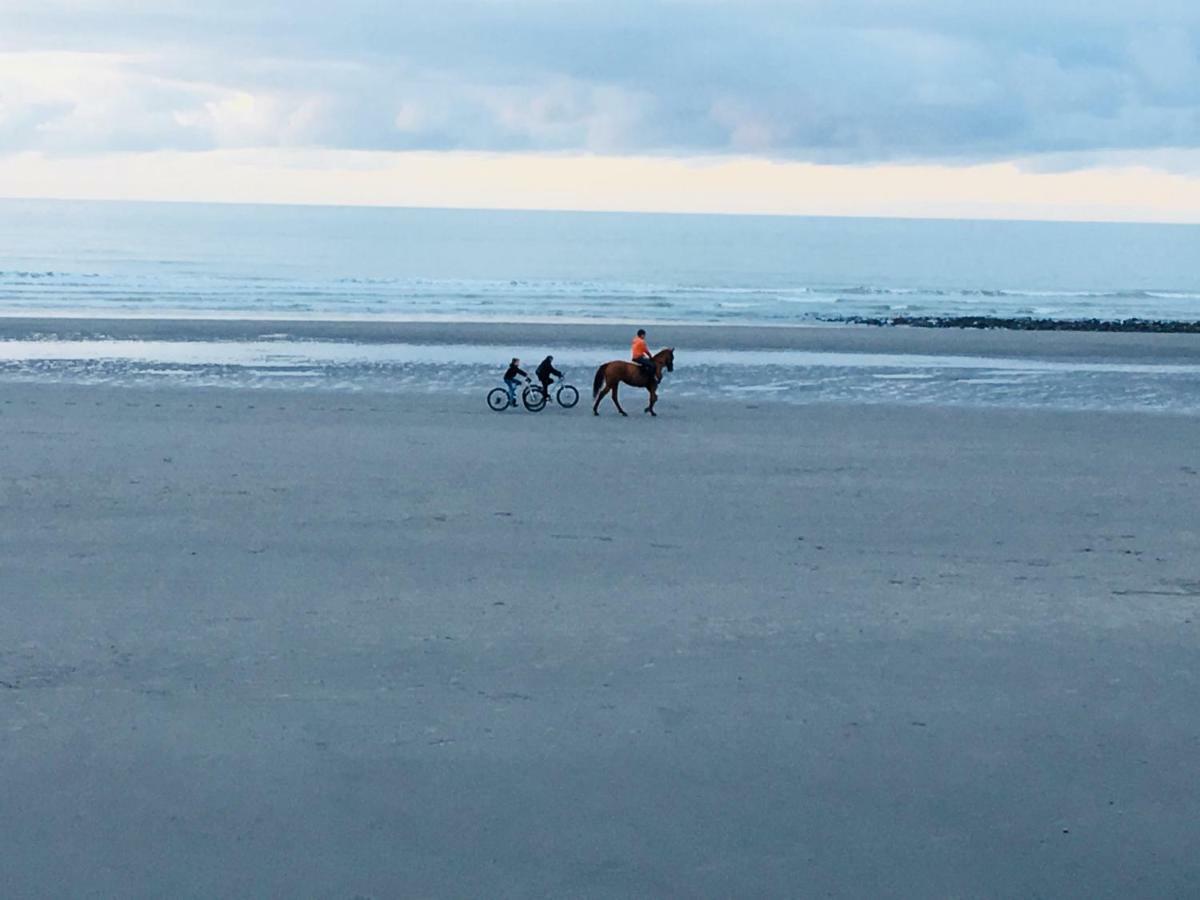 Studio  escale en bord de mer Wimereux Eksteriør bilde